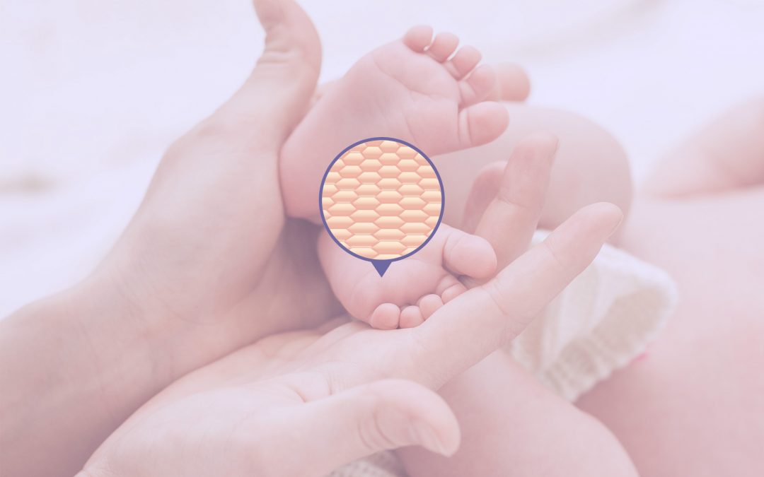 Memahami Lapisan Epidermis pada Kulit Bayi